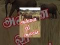 Annai Oru Aalayam