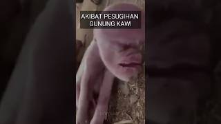 Download lagu ritual pesugihan gunung kawi#gunungkawi mp3