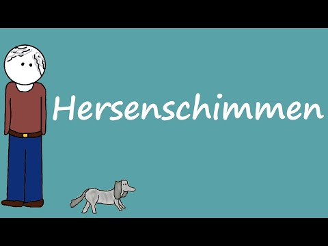 Samenvatting Hersenschimmen (De Alphaman)