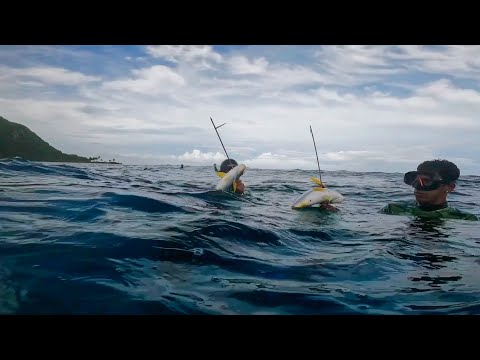 ANG BABAW NG SPOT NATO PERO ANG DAMING ISDA | DAYO p2