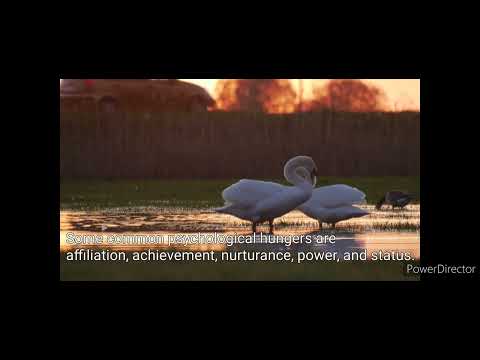 10. How to analyze your inner desires