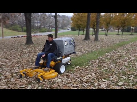 image-Can you pick up leaves with lawn mower?