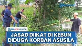 Penemuan Jasad Wanita di Kebun Karet: Diduga Korban Rudapaksa, Tangan Diikat, Kepala Ditutup Kain