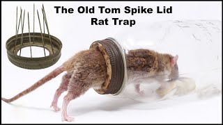 The Old Tom Spike Lid Rat Trap Fail. Mousetrap Monday