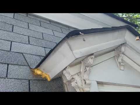 Lots of Yellow Jackets in the Dormer in Red Bank, NJ