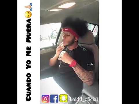 Muy Real este Freestaly ( laidil tú loco)🔥😎