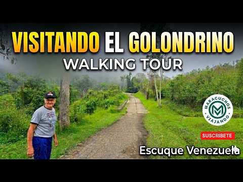 EL GOLONDRINO: El secreto mejor guardado de Escuque que DEBES conocer 🎒✨