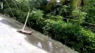 preview picture of video 'Camino de Tilapa a Cosamaloapan inundado'