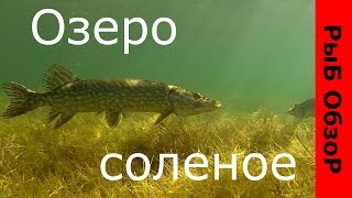 Рыбалка на соленом озере в батайске