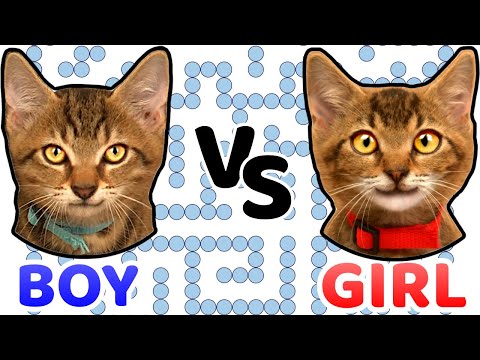 download lagu mp3 mp4 Girl In Maze, download lagu Girl In Maze gratis, unduh video klip Girl In Maze