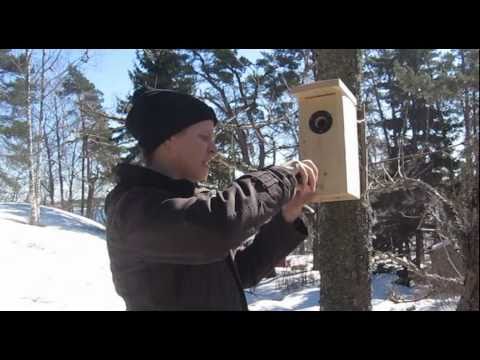 Kesäpesä-linnunpönttö - ripustusohjeet