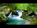 Mountain Stream Flowing 24/7. Forest Stream. Flowing Water. White Noise, Nature Sounds for Sleeping.