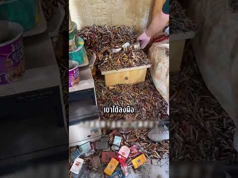 เห็นแล้วยังท้อ คุณตาอยู่ห้องแบบนี้ได้ยังไงเนี่ย! #shorts #viral #interesting #เรื่องน่ารู้