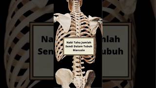 Download lagu NABI TAU JUMLAH SENDI DALAM TUBUH MANUSIA #kalamsemenit mp3 Download lagu NABI TAU JUMLAH SENDI DALAM TUBUH MANUSIA #kalamsemenit mp3