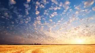 Afro Celt Sound System - Amber