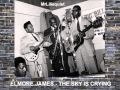 Elmore James - The Sky Is Crying