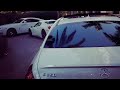 starly - Kavkaz 