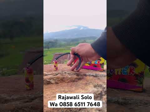 KEMBANG API MELEDAK BAWAH SUN FLOWER 1 BOX ISI 20 PCS 