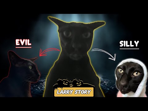 Evil Larry Cat Full Story