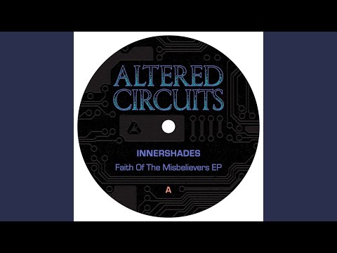 Flying Birds in the Sunset