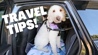 How I Travel with My Dogs 🐶  & EVERYTHING I use! 🚗