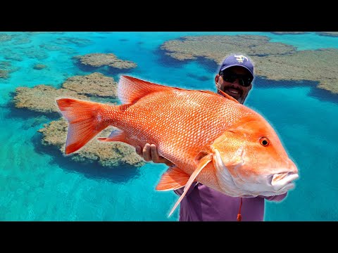 You won't believe what Aussie Jo caught while Reef Fishing...