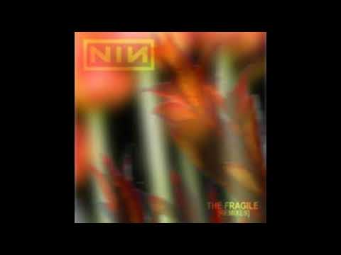 Nine Inch Nails - The Big Come Down (Long)