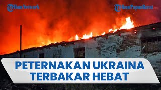 Serangan Hebat Rusia Bikin Peternakan Seluas 1.200 Meter Persegi di Cherkasy Ukraina Terbakar Hebat