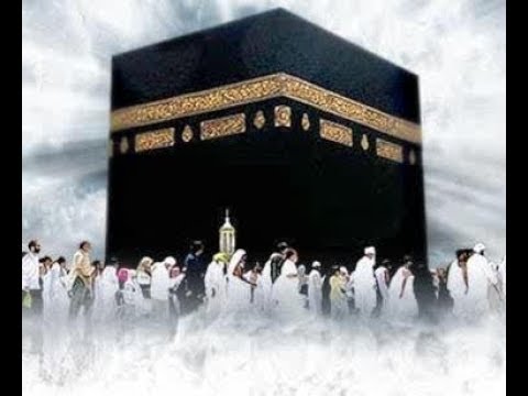 ⁣وفود الحجاج إلى الله - سماحة الشيخ / عبدالله دشتي