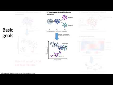 MCB 182 Lecture 9.8 - Analysis goals of scRNA-seq