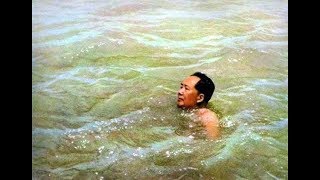 [問卦] 毛澤東73歲 游泳15公里 算強嗎？？
