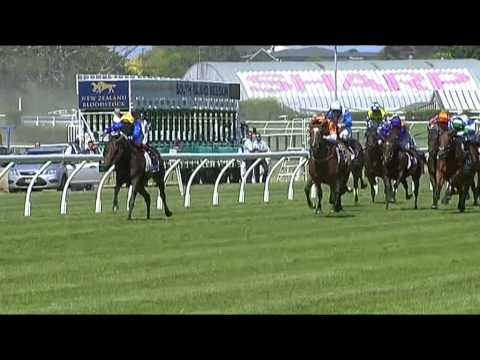 NZ Derby favourite Puccini