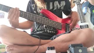 Download lagu XPDC_RINDU - BASS COVER mp3