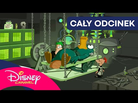 Cały odcinek: Potwór Fineasza i Ferbersteina 🧟‍♂️ | Fineasz i Ferb | Disney Channel Polska