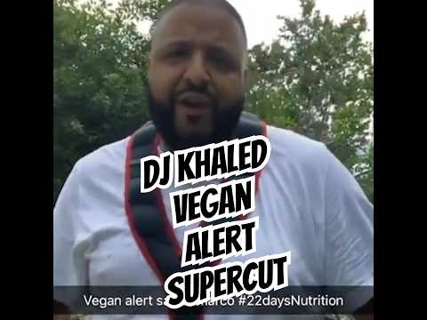 download lagu mp3 mp4 Dj Khaled Vegan, download lagu Dj Khaled Vegan gratis, unduh video klip Dj Khaled Vegan