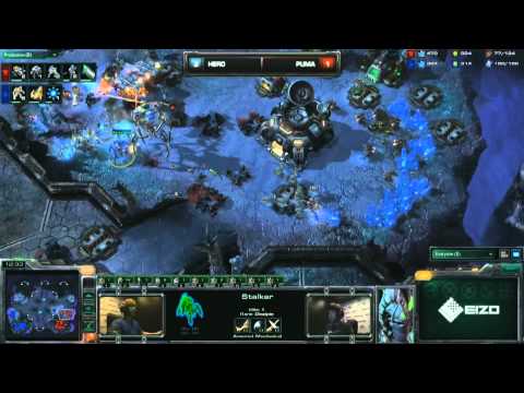 Dreamhack Winter 2011 Starcraft 2 Finals Hero vs Puma [Game 5] (1/2) [HD]