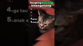 Download lagu cats can talk๐น mp3 Download lagu cats can talk๐น mp3