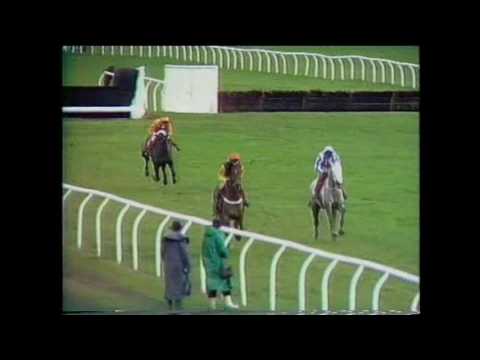 1990 Wayward Lad Novice Chase Kempton