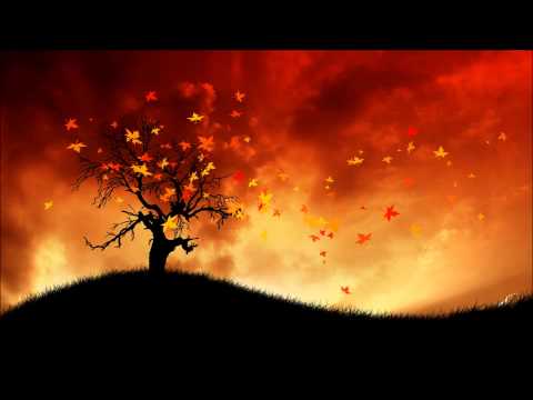 Kazbek Aliyev - Uchush