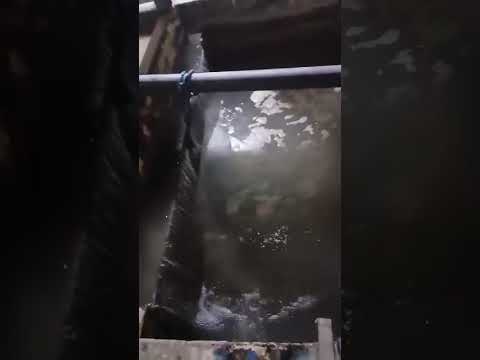 Las plumas reanuda la potabilización del agua 02