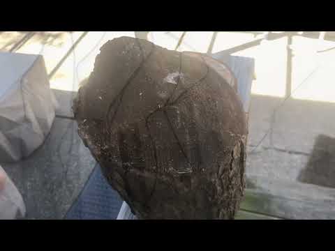 DIY Como hacer una campana 🔔 de viento. How to make Wind chimes 👍😎