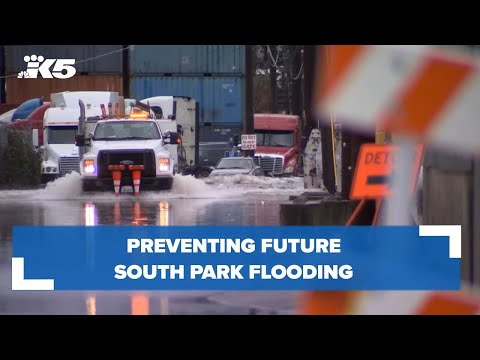 Preventing future South Park flooding