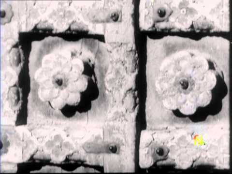 Through the Eyes of a Painter