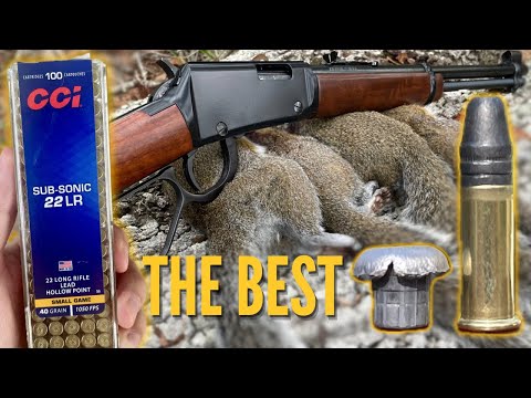 Subsonic .22 Squirrel Hunting With Henry Lever Action