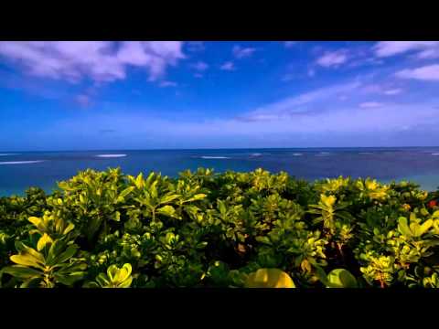 Moonbeam feat. Leusin - Daydream (Eximinds Remix) HD