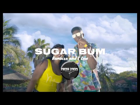 SugarBum: Dambisa & T Low | Visualizer