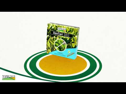 Box Tree Caterpillar spray - XenTari