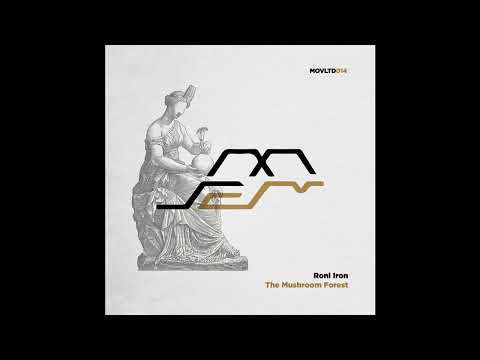 PREMIERE : Roni Iron - Nirvana Dreams (Original Mix) [Movement Limited]
