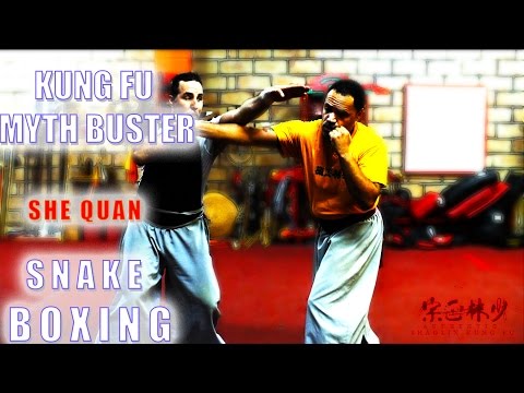 Kung Fu Myth Buster!! How to Apply Snake Boxing!!