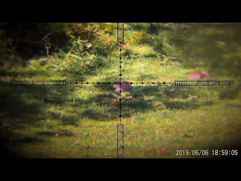 2019 0606 185854 005